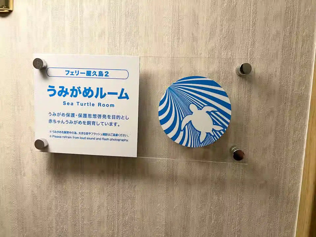 折田汽船フェリー屋久島2船内のウミガメルーム