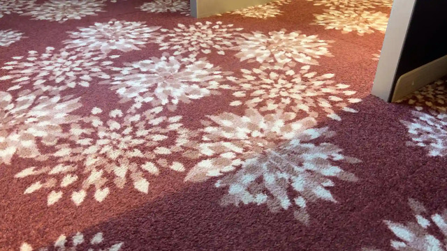 観光列車「はなあかり」スーペリアグリーン席の窓