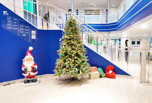 フェリーふくおか船内に設置されたクリスマスツリー