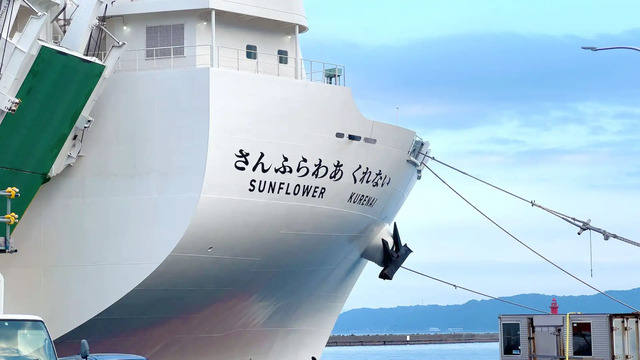 別府港に停泊するさんふらわあ「くれない」の船体