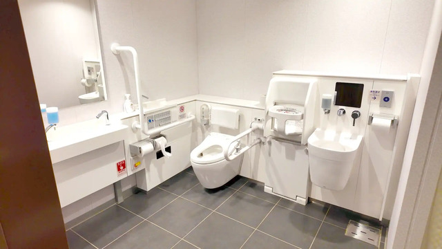 さんふらわあ くれないのバリアフリートイレ内部