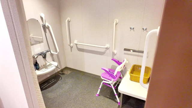 さんふらわあ くれないのバリアフリートイレ内のシャワールーム