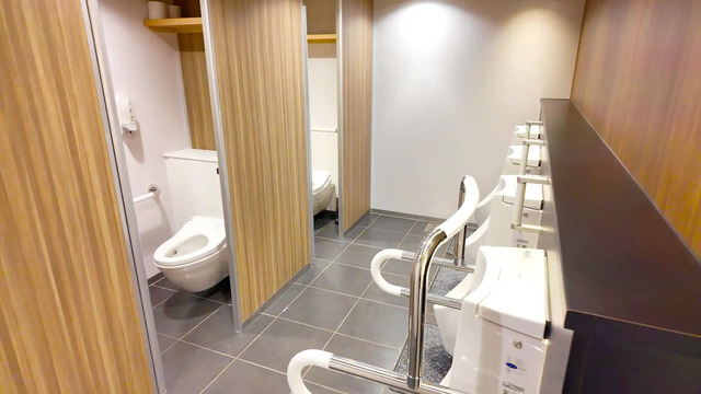 さんふらわあ くれないの男性用トイレの内部