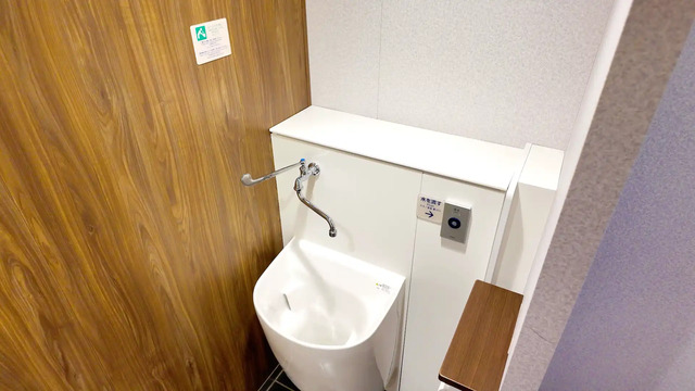 さんふらわあ くれないの男性用トイレの流し台
