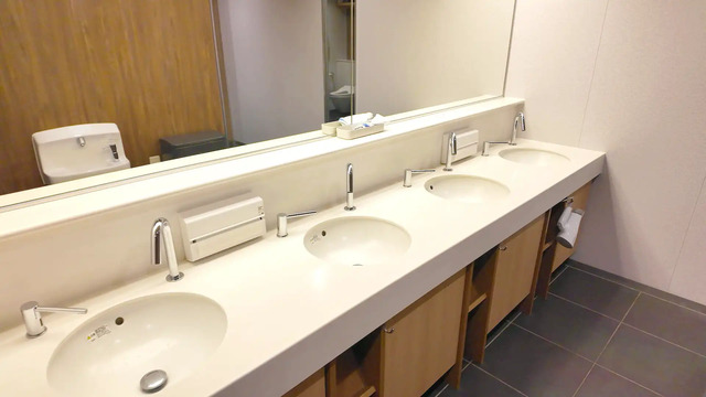 さんふらわあ くれないの男性用トイレの洗面台