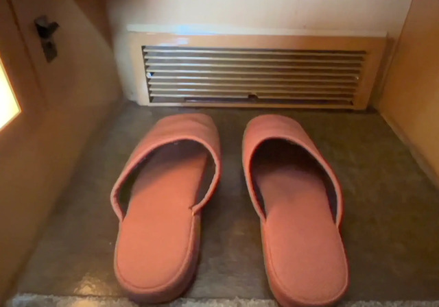 寝台特急サンライズ出雲号のB寝台ソロ個室のスリッパ