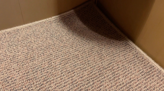 サンライズ出雲ノビノビ座席のマット