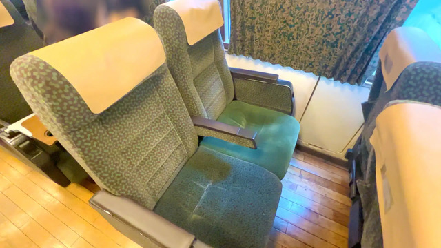 Regular Seat On The Limited Express Yufuin no Mori