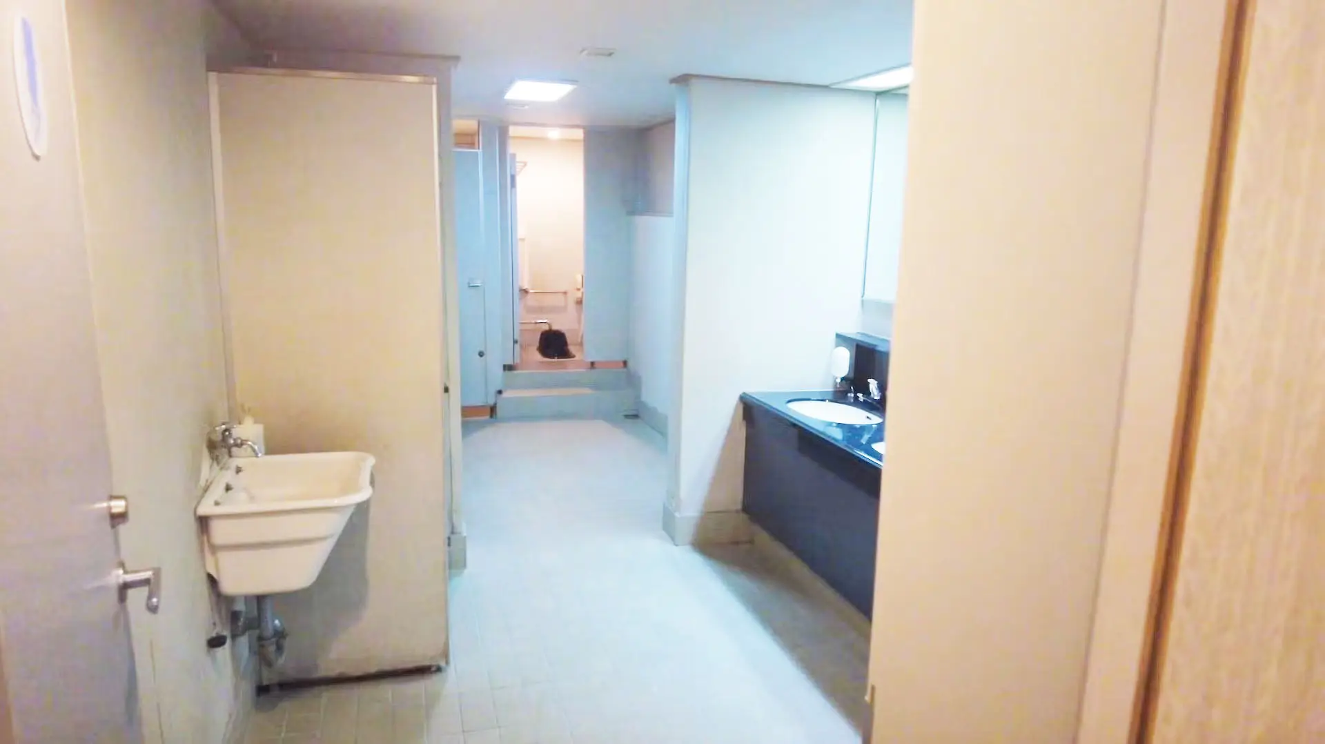 The restroom facilities on board the Orita Kisen Ferry Yakushima 2