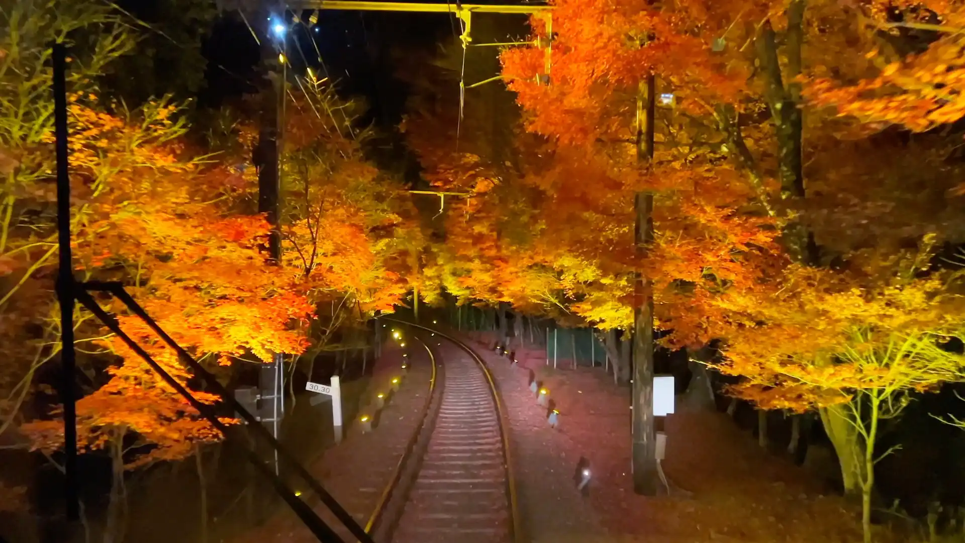 もみじのトンネルの中を通る叡山電車