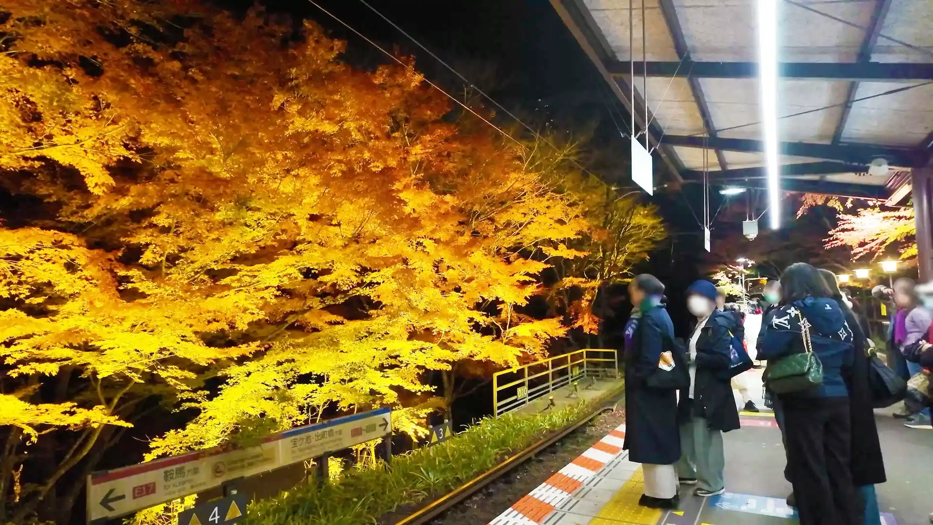 貴船口駅前のライトアップされた紅葉