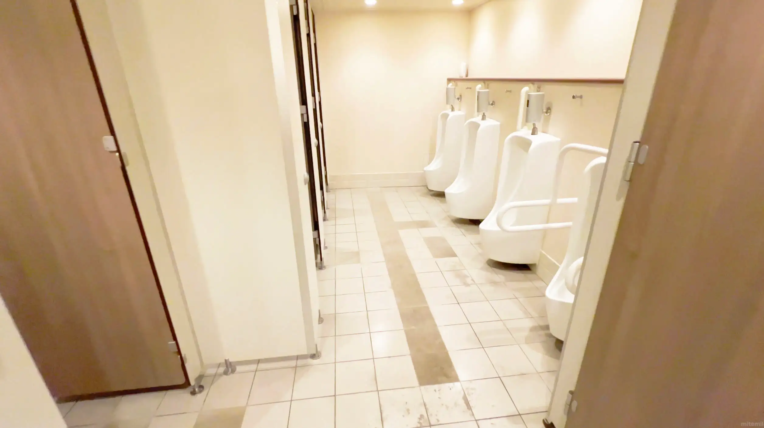 名門大洋フェリーきょうと船内の男性用トイレの中