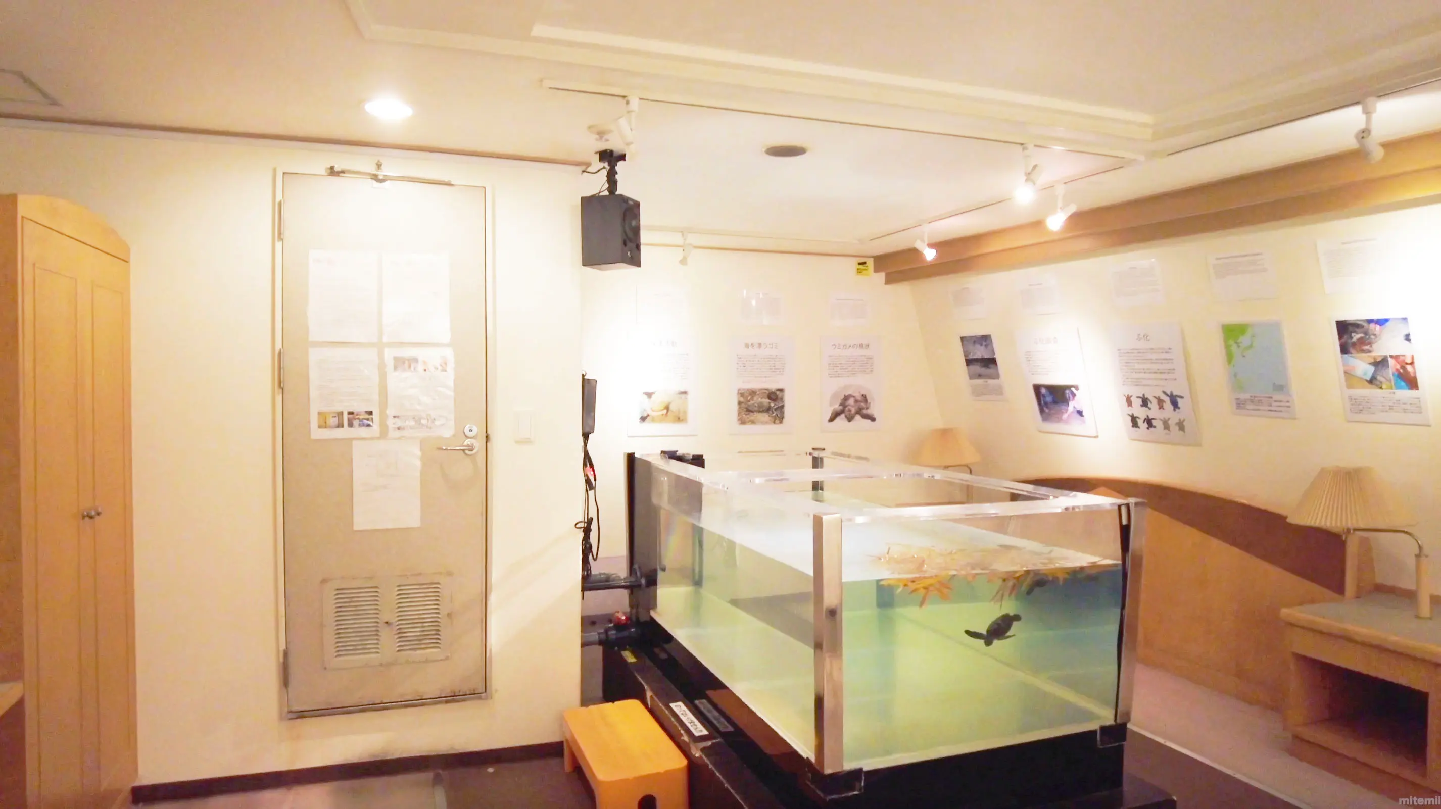 The indoor area of the sea turtle room on board the Orita Kisen Ferry Yakushima 2
