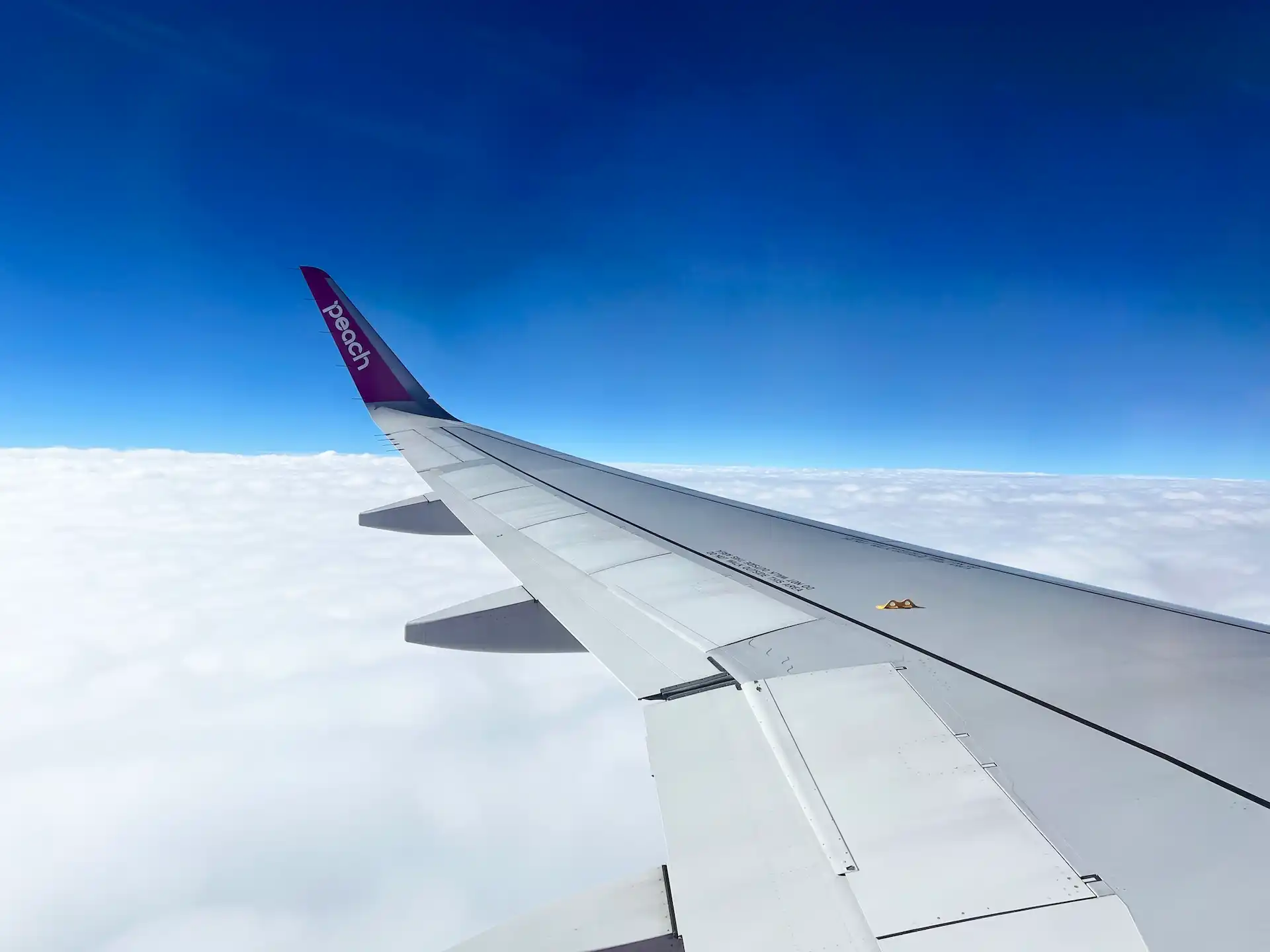 成層圏に突入したPeachの機体