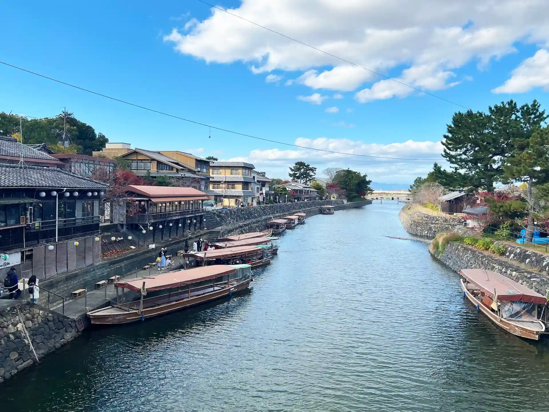 朝霧橋の上から見た宇治川